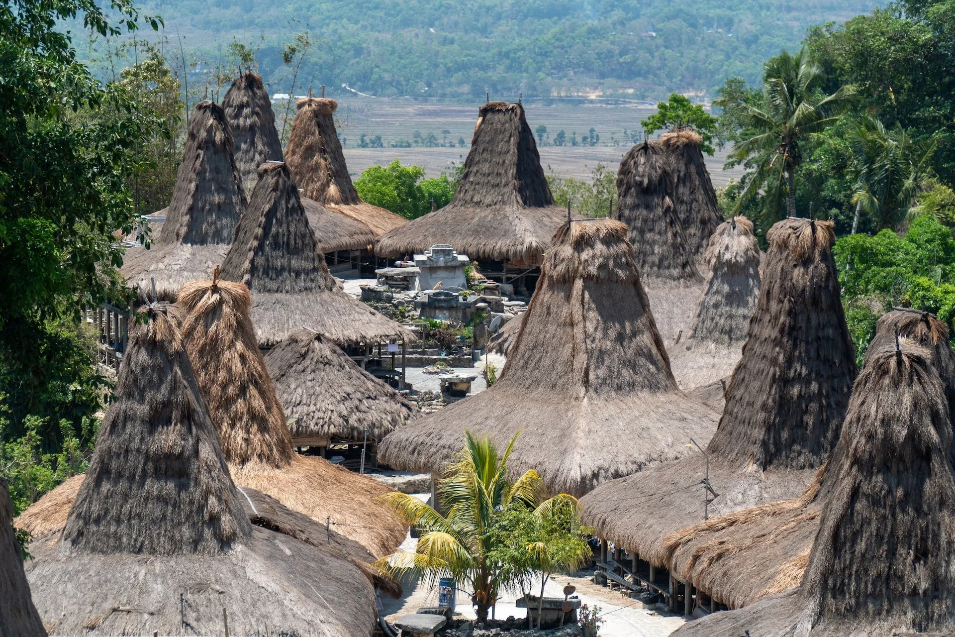 Traditional Marapu village, Lamboya