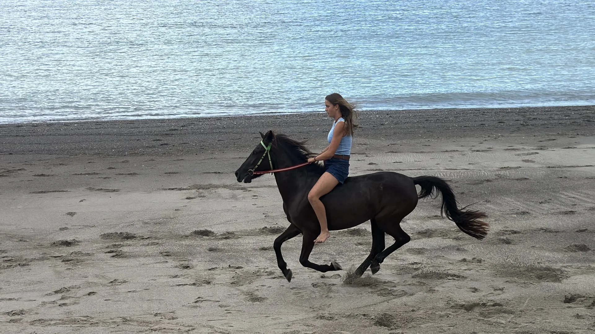 A Sumba horse and rider on the beach